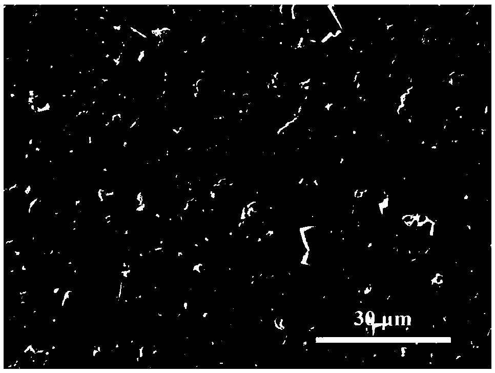 Anticoagulant hydrogel coating capable of catalyzing release of nitric oxide and preparation method of anticoagulant hydrogel coating capable of catalyzing release of nitric oxide