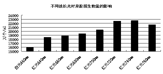 Preparation method and application of heterogloea powder