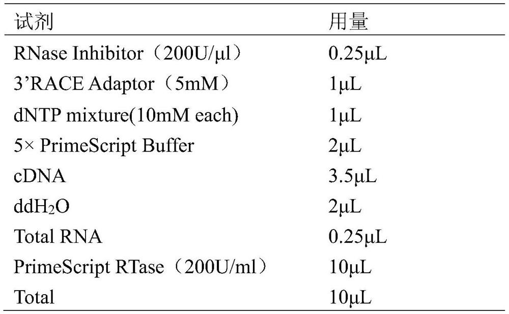 Upland cotton ghebf1 gene, protein and application