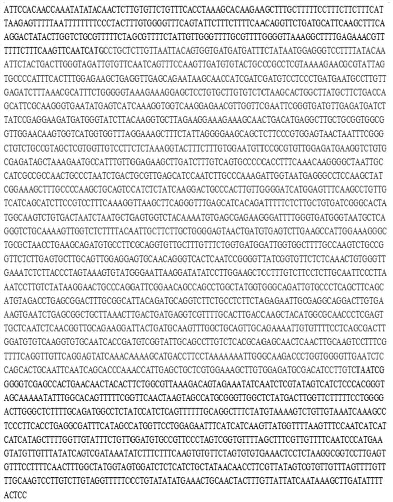 Upland cotton ghebf1 gene, protein and application