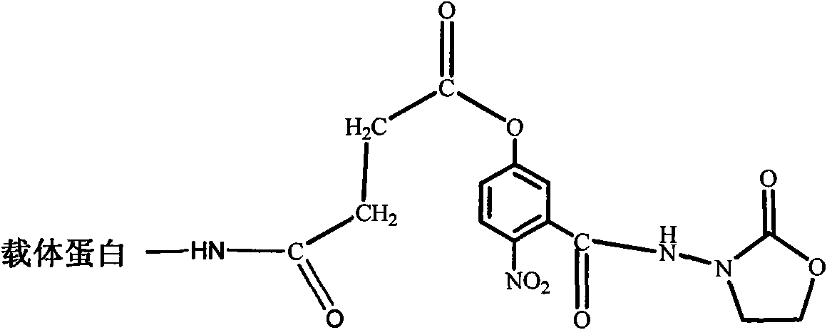 Furazolidone metabolite hapten and antigen as well as preparation method and application thereof