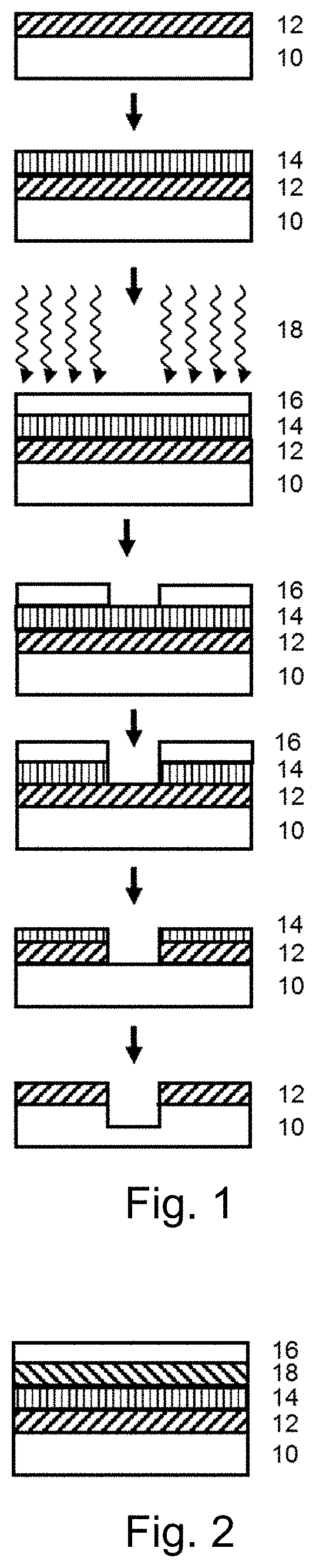 Functional hydrogen silsesquioxane resins and the use thereof