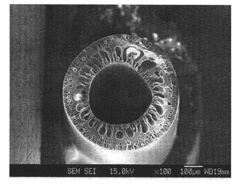 Hollow fiber, dope solution composition for forming a hollow fiber, and method for manufacturing a hollow fiber using the same