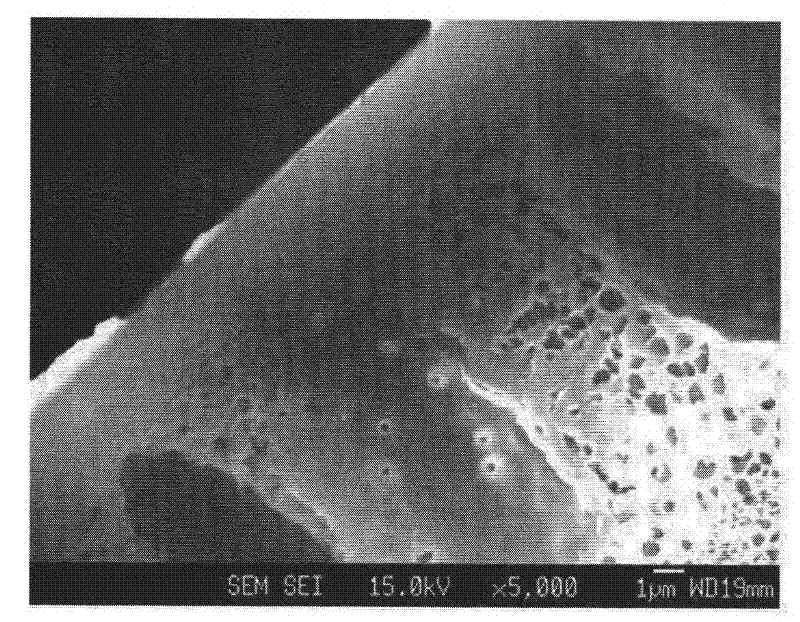 Hollow fiber, dope solution composition for forming a hollow fiber, and method for manufacturing a hollow fiber using the same