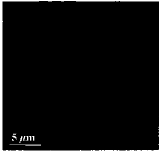 Graphite carbon/metal nitride composite nanotube array and preparation method and application thereof