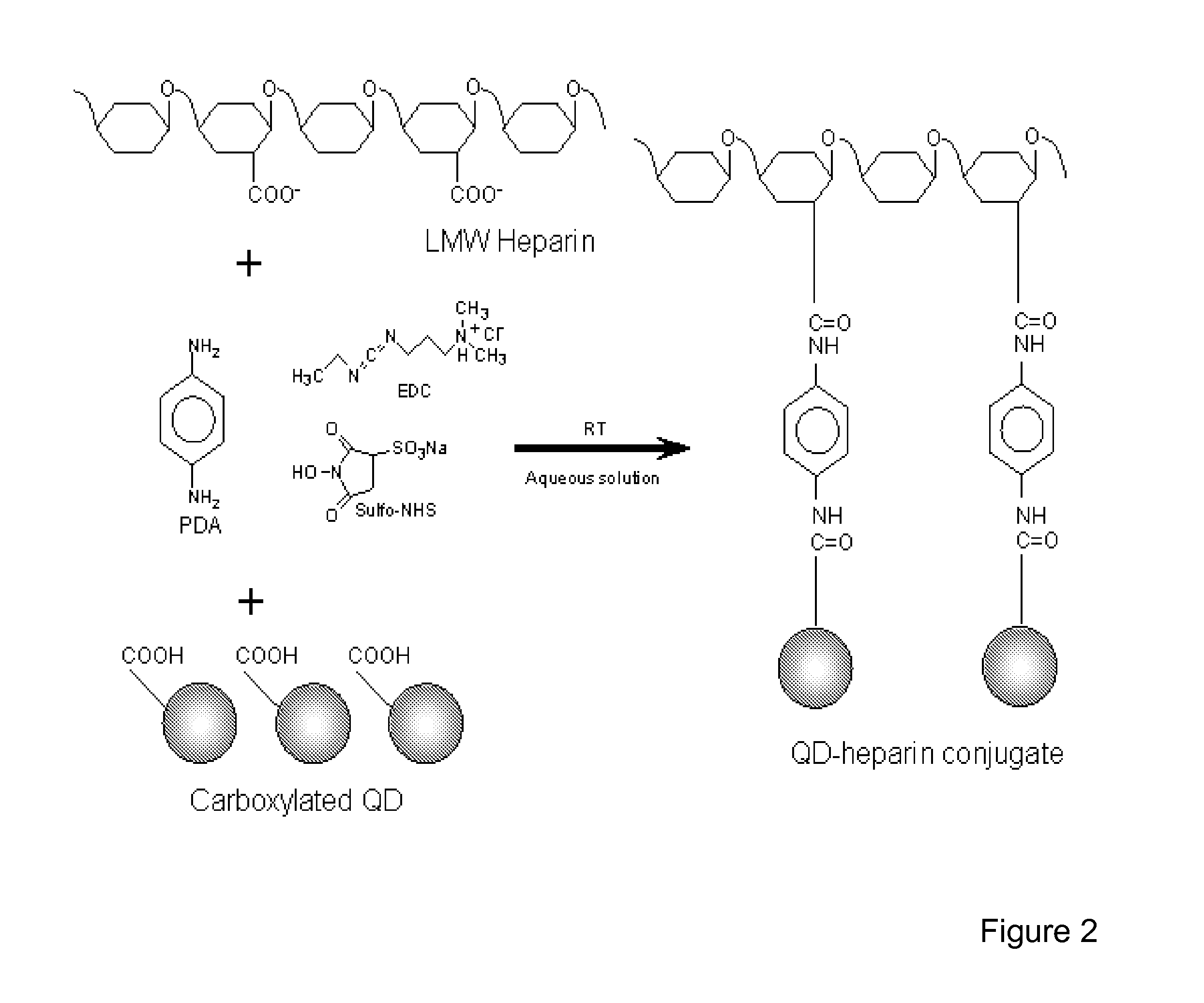 Electrospun Cell Matrices