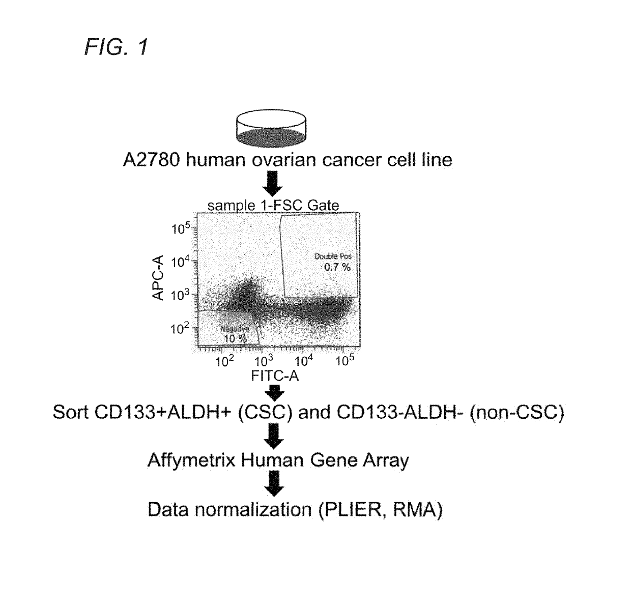 Molecular signatures of ovarian cancer