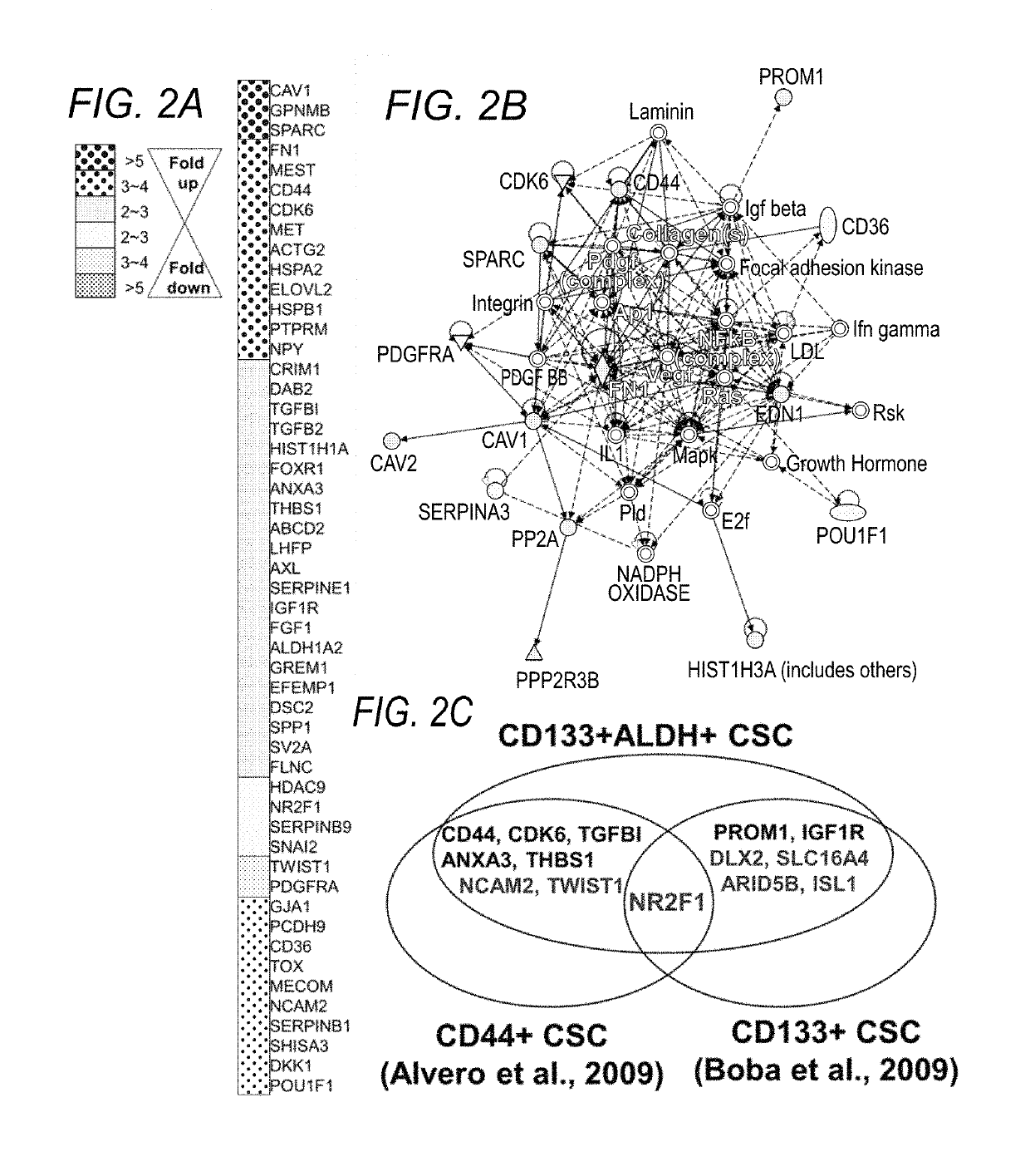 Molecular signatures of ovarian cancer