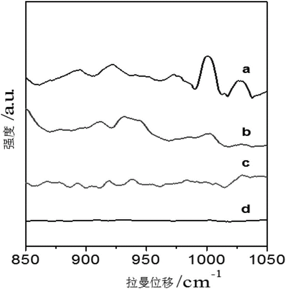 Surface enhanced raman detection method on penicillin drug in milk