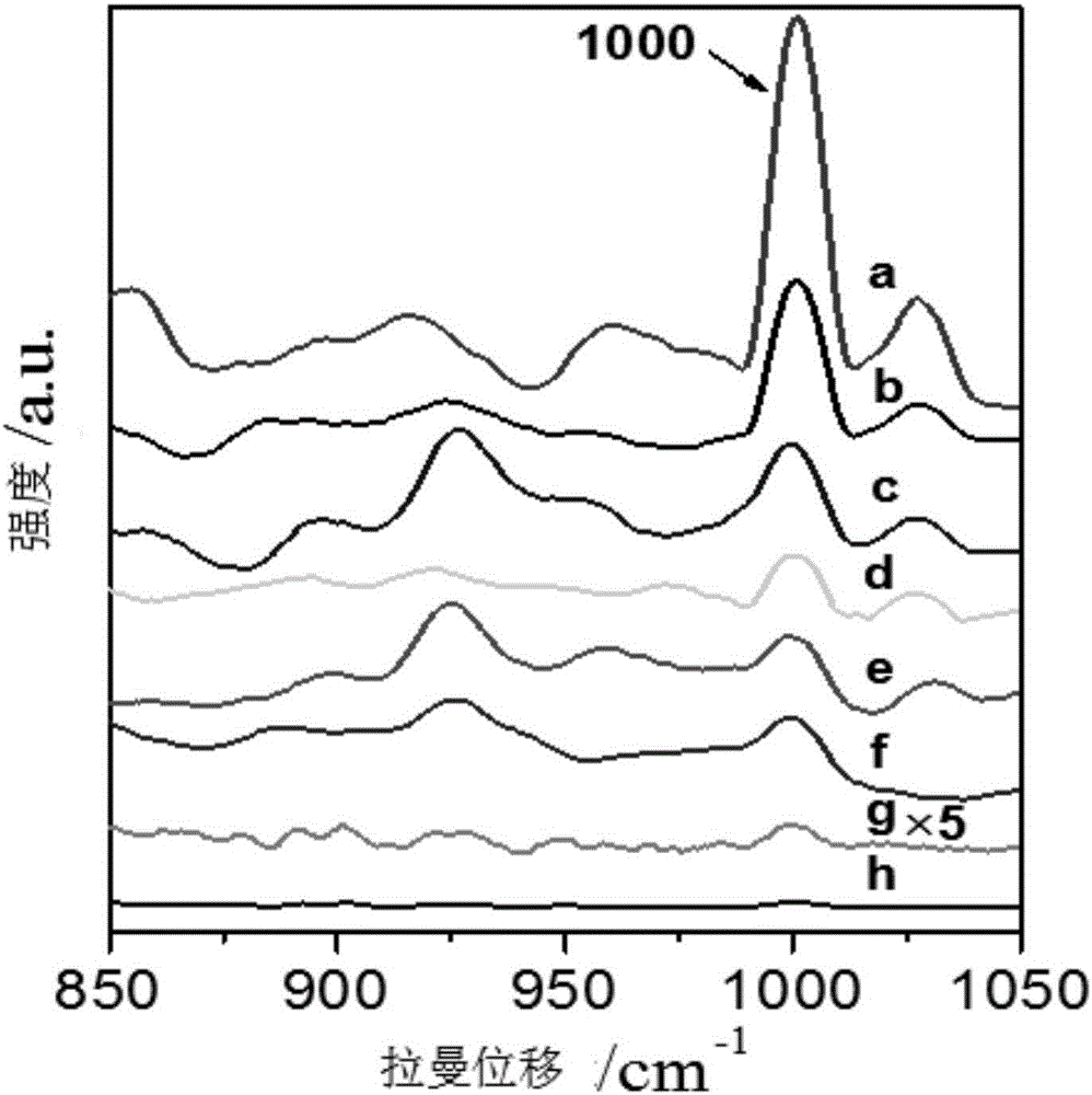 Surface enhanced raman detection method on penicillin drug in milk