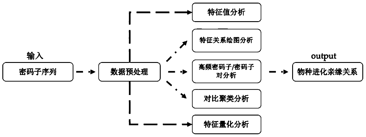 Rutaceae multi-species codon using mode analysis method and system