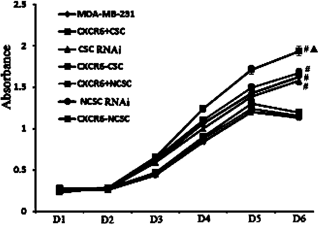 Screening kit of malignant breast cancer stem cells