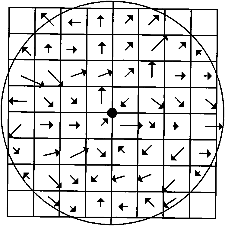 Virtu identifying method based on texture analysis