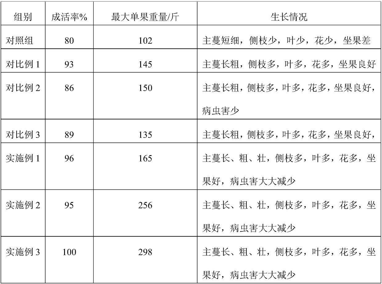 Water-soluble fertilizer formula for soilless culture of giant pumpkins and soilless culture method