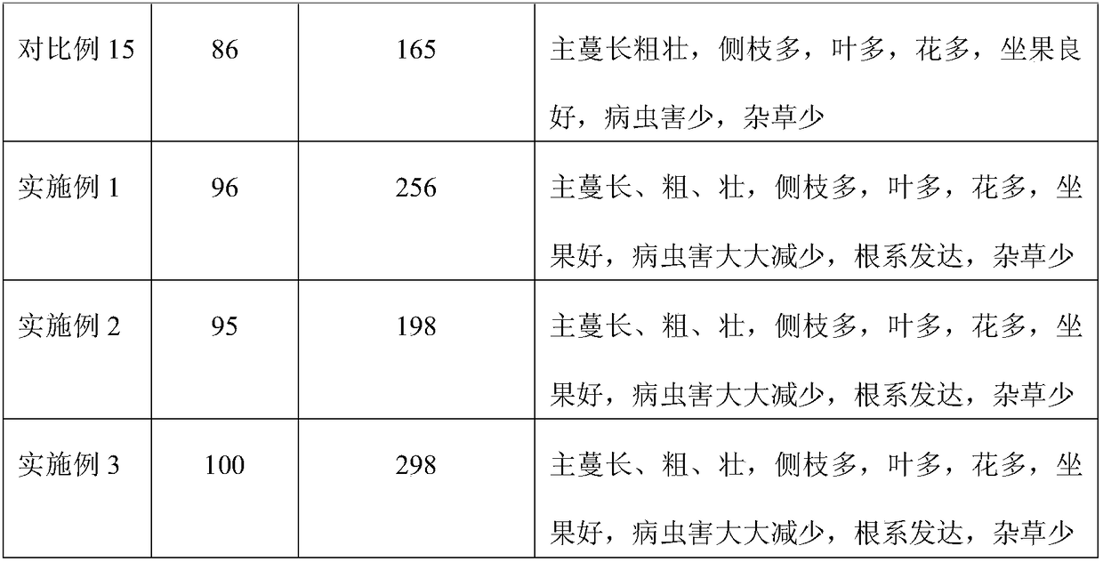 Water-soluble fertilizer formula for soilless culture of giant pumpkins and soilless culture method