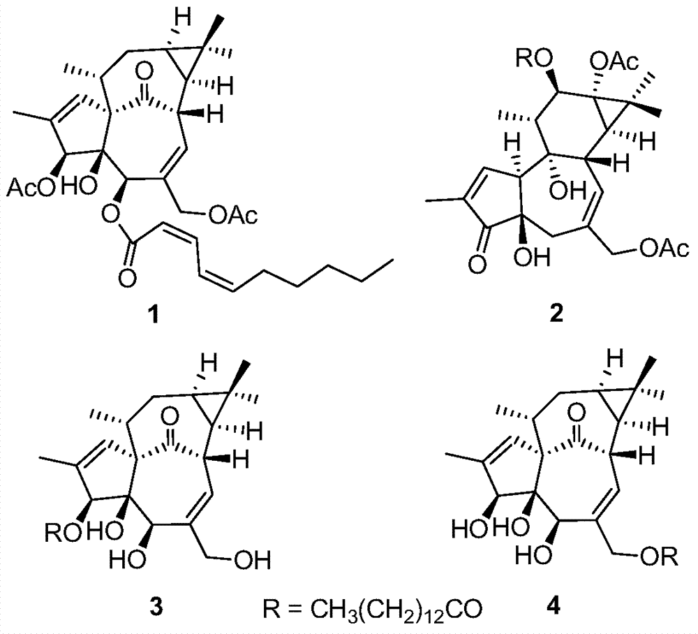 Diterpenoid compounds in euphorbia pekinensis, medicine composition thereof, and application of same in pharmacy