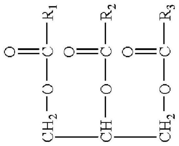 Compositions and methods using a nicotinamide adenine dinucleotide (nad+) precursor and at least one ketone or ketone precursor