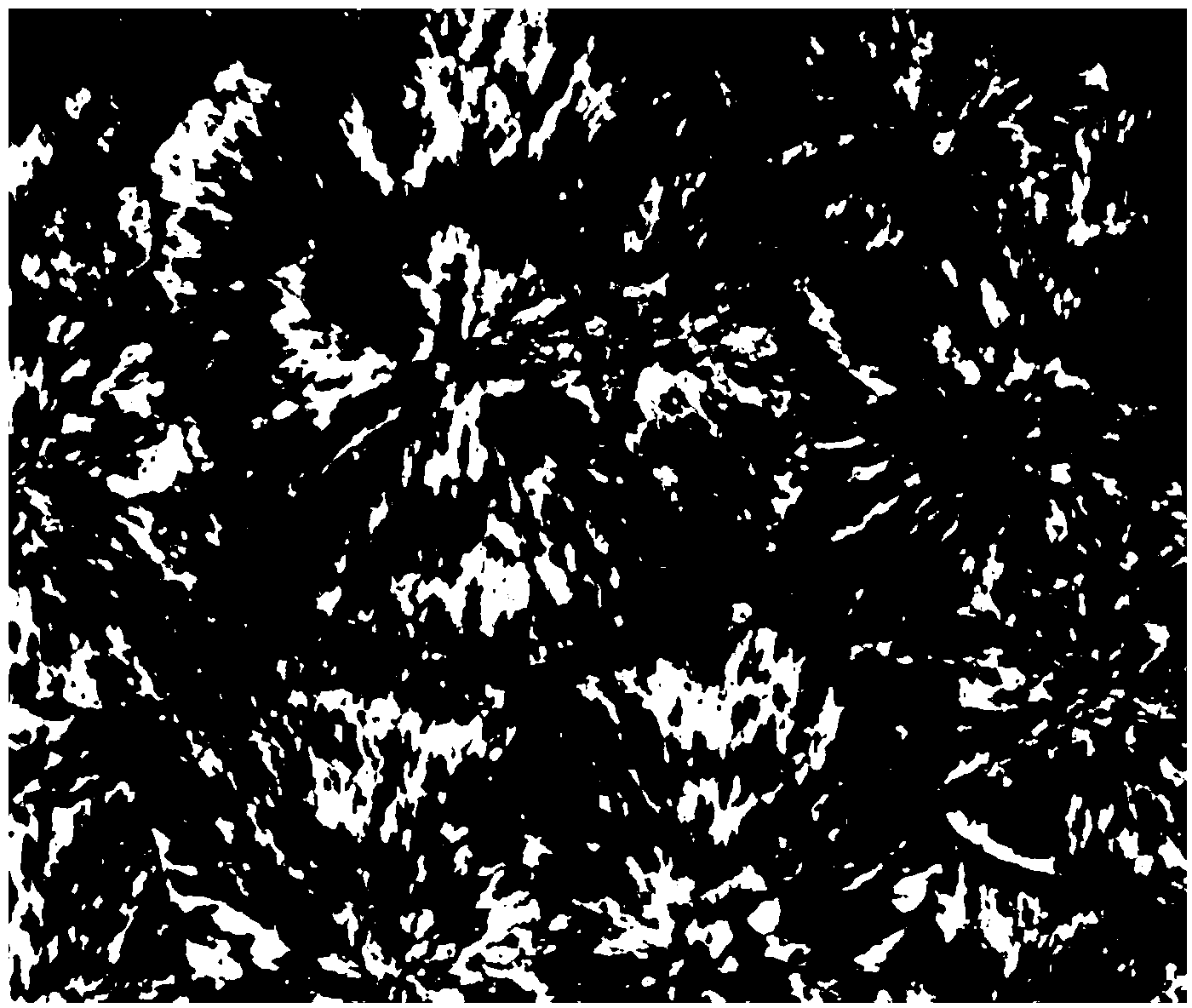 Polyacetal resin composition and preparation method thereof