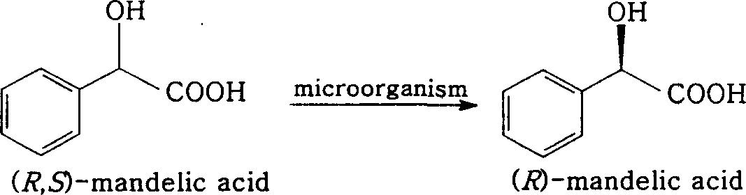 Process for preparing (R)-mandelic acid by microbial asymmetric resolution