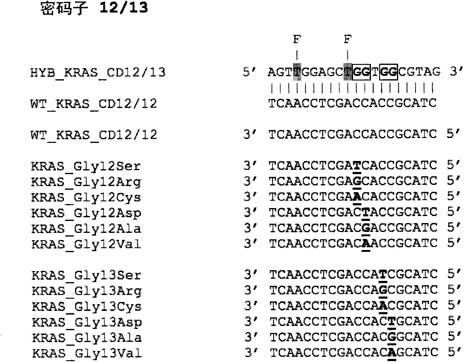 Mutational analysis