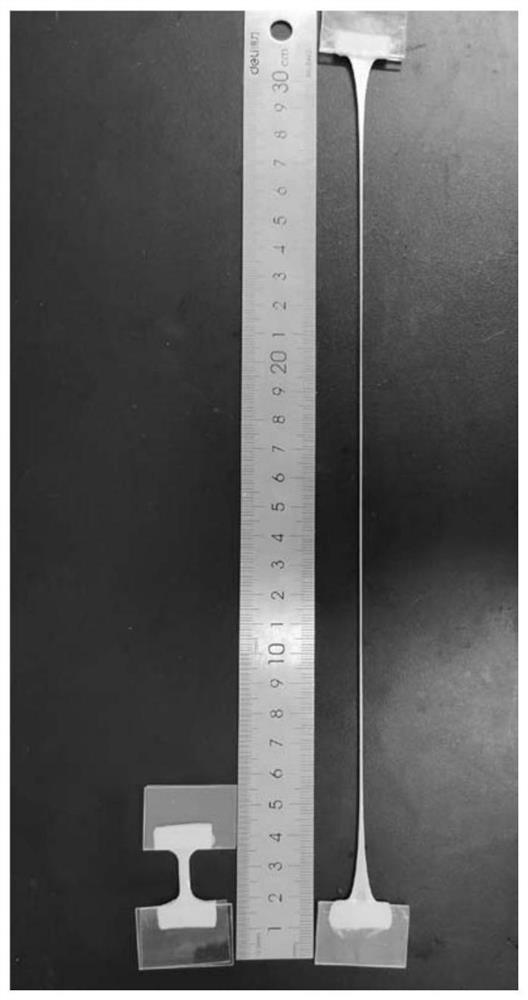 Stretchable conductive hydrogel with high water-retaining property and preparation method thereof