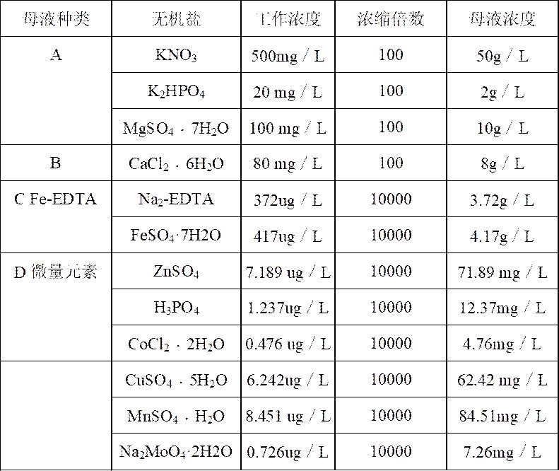 Combined antibiotic application method for haematococcus pluvialis pure culture