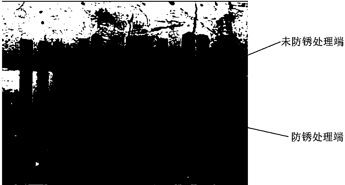 Rust preventer and preparation method and application thereof