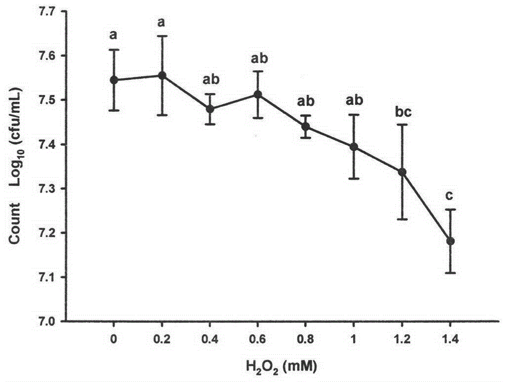 Pediococcus pentosaceus R1 strain with in-vitro antioxidation activity and application thereof as antioxidant in fermented meat products