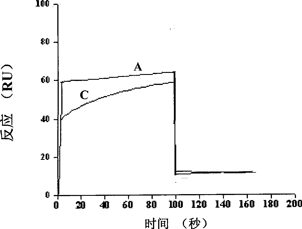 12 peptide ZA for inhibiting hepatitis c virus to infect human cell and preparation method and application