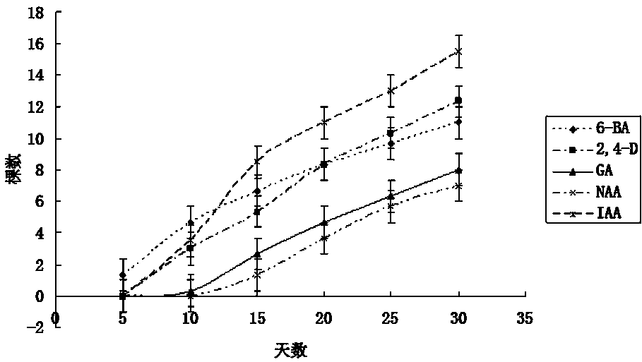 Germination accelerating method for ashitaba