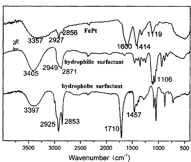 Amphipathic super-paramagnetic and magnetically resonant contrast agent and preparation method thereof