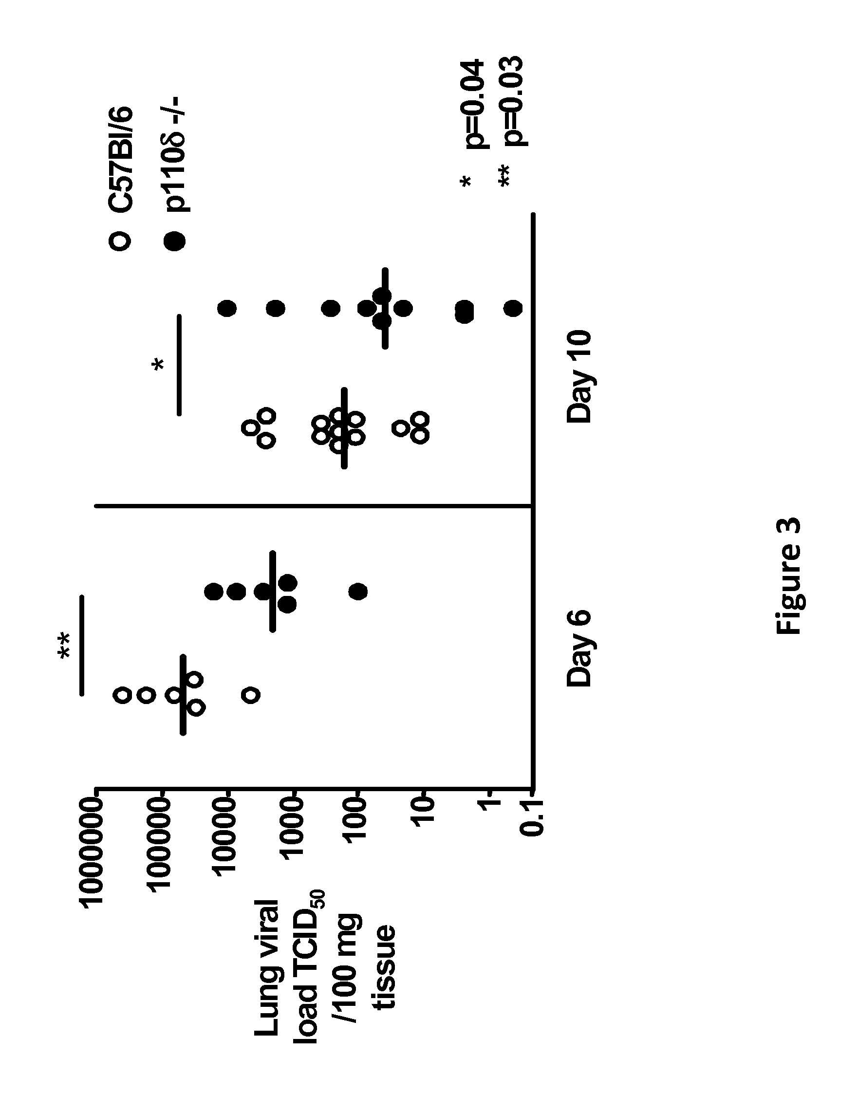 NOVEL P13K p110 INHIBITORS AND METHODS OF USE THEREOF