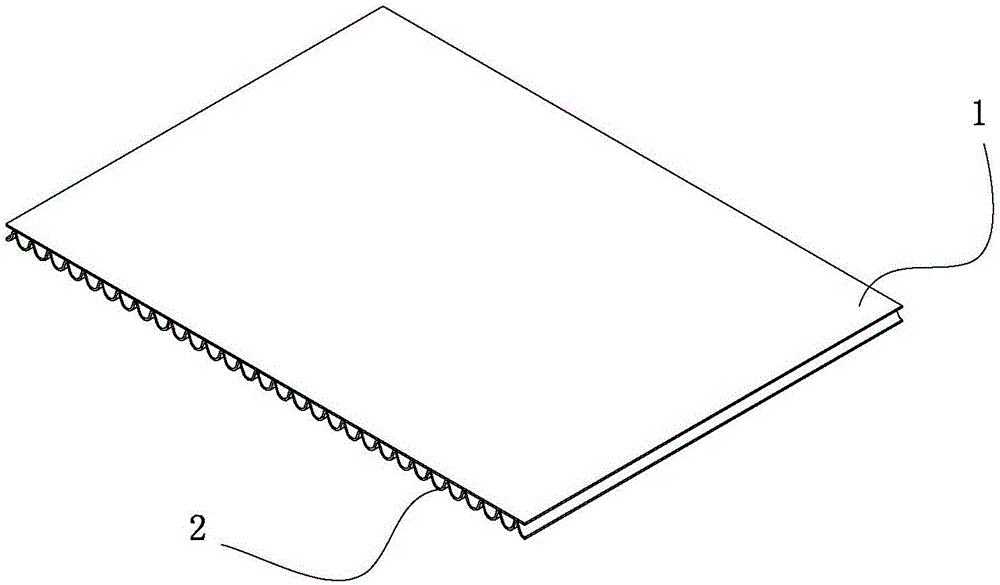 Filter paper structure and method for manufacturing same