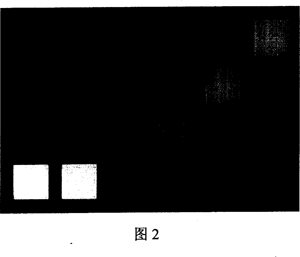 Method for correcting digital tongue picture colour cast