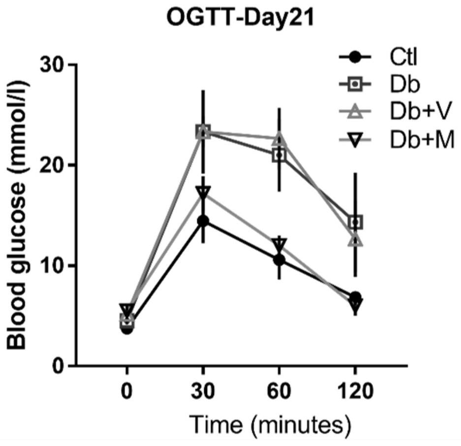 Application of nitric oxide spin trapping type nano targeting antioxidant in preparation of diabetes prevention medicine