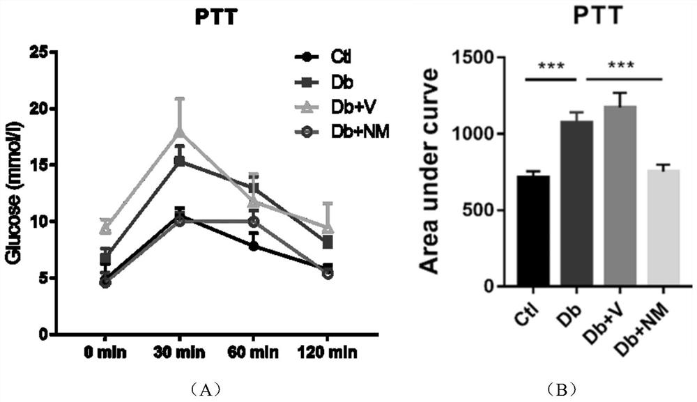 Application of nitric oxide spin trapping type nano targeting antioxidant in preparation of diabetes prevention medicine