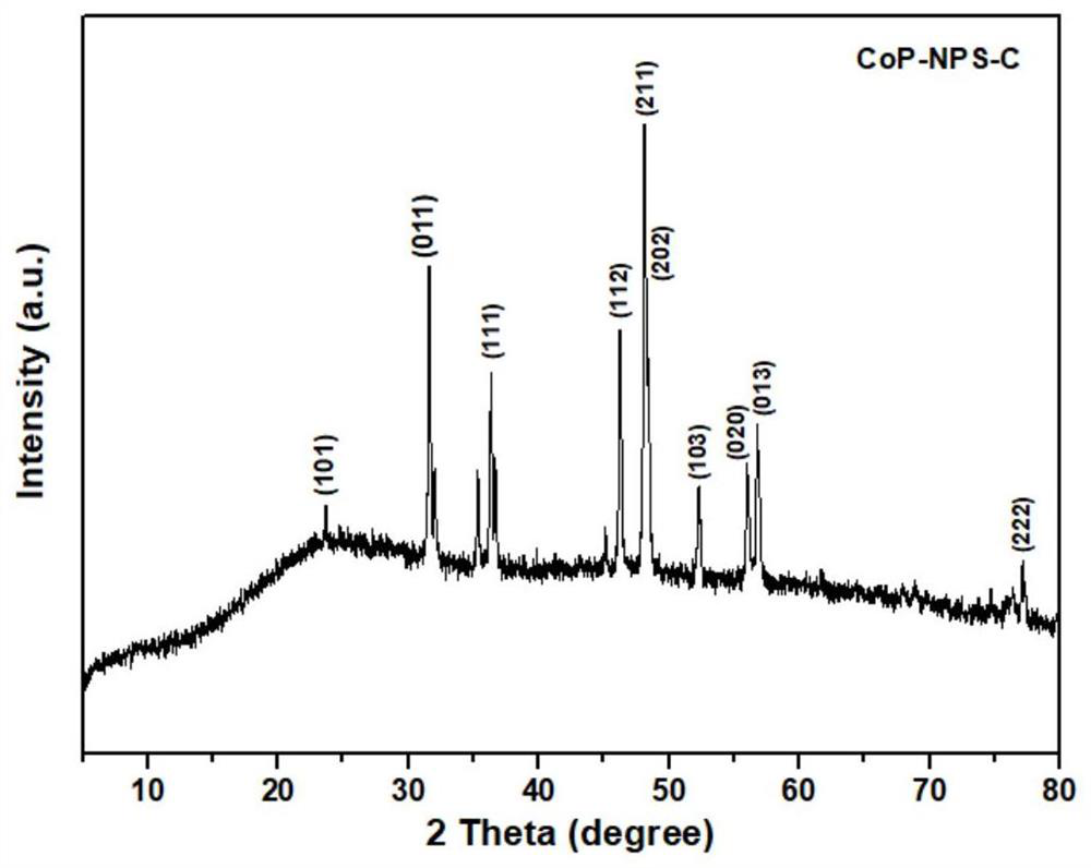 Nitrogen-phosphorus-sulfur co-doped porous carbon loaded metal phosphide nano composite material as well as preparation method and application thereof