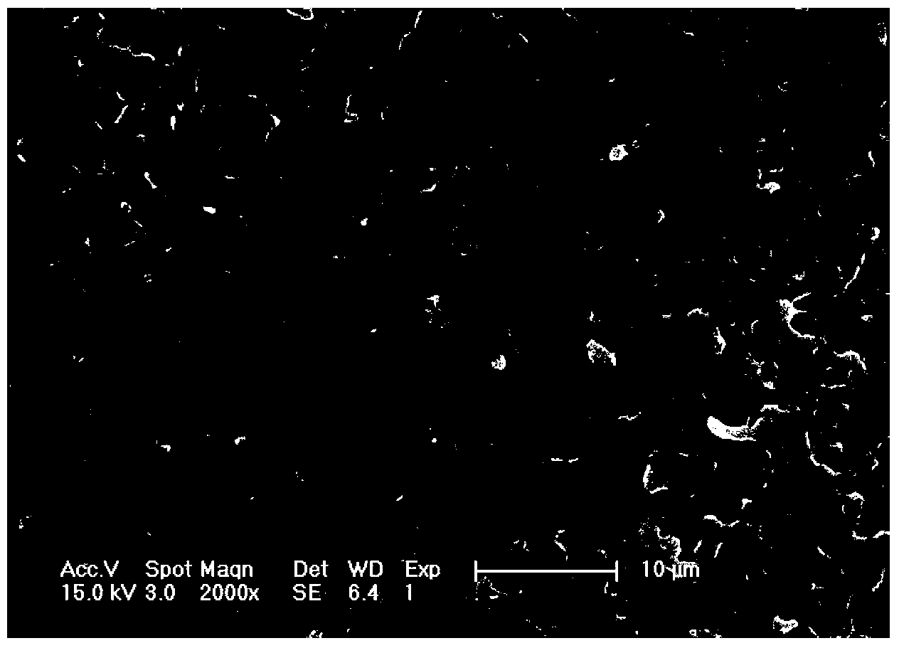 Method for preparing porous polymer material by selective biodegradation