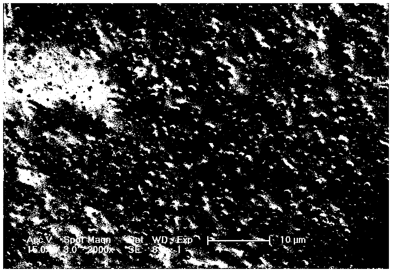 Method for preparing porous polymer material by selective biodegradation