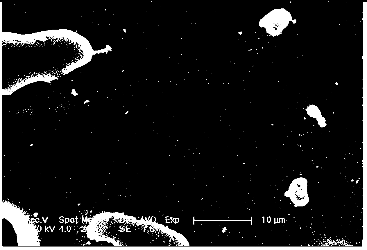 Method for preparing porous polymer material by selective biodegradation