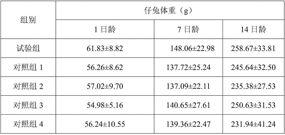 Feed for improving growth performances of cold-tolerant female rabbits