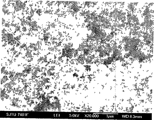 Preparation method of polymer hydrophobic surface