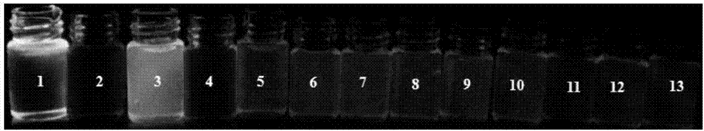 Preparation of copper ion complexing type fluorescent molecule probe, and application of copper ion complexing type fluorescent molecule probe in detection of salicylic acid