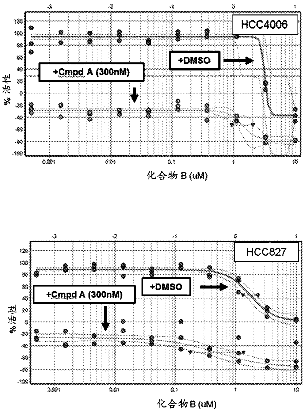 Therapeutic combination of a third-generation EGFR tyrosine kinase inhibitor and a raf inhibitor