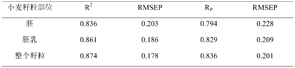 Construction method of wheat variety identification model