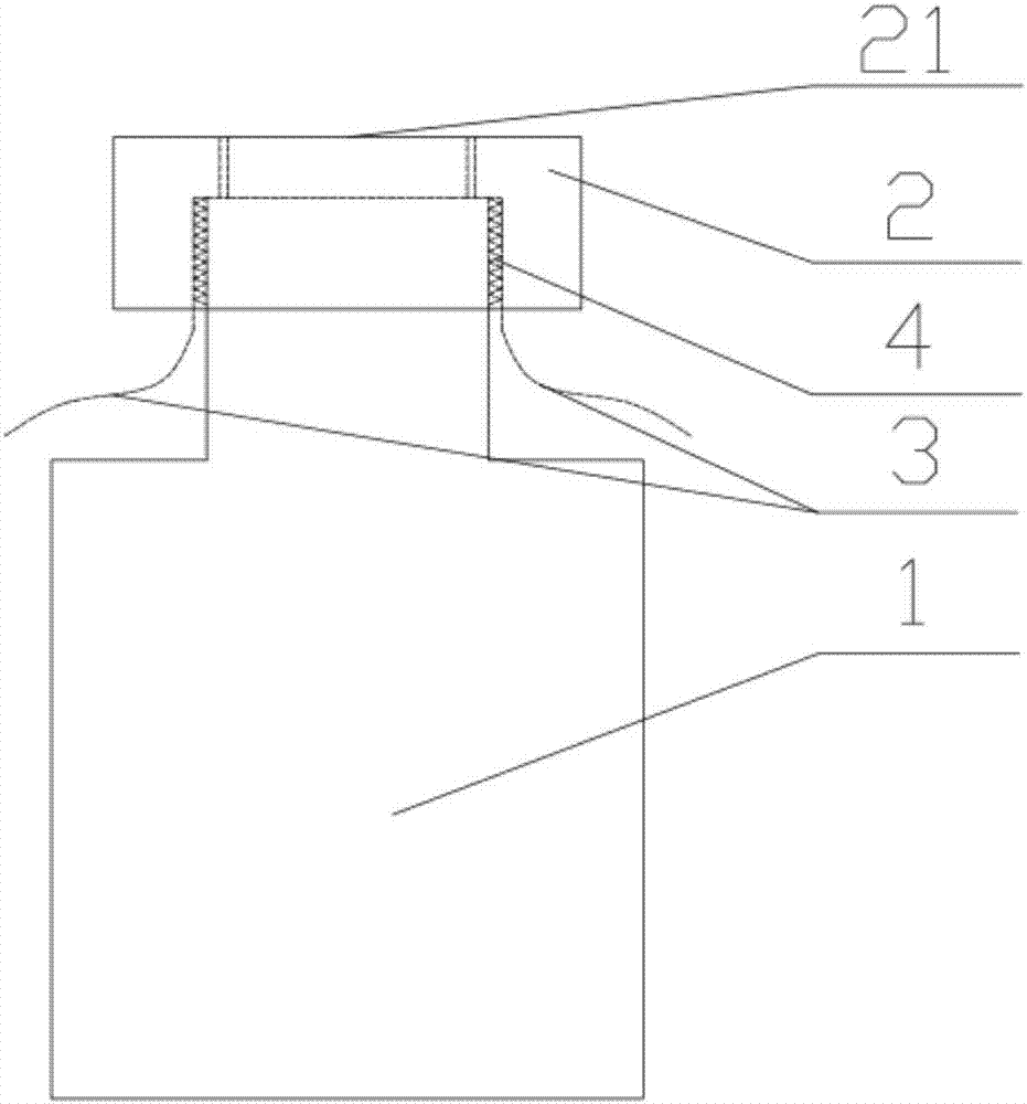 Liquid sample feeding bottle and liquid sample feeding method used for microcell X-ray fluorescence spectrometer