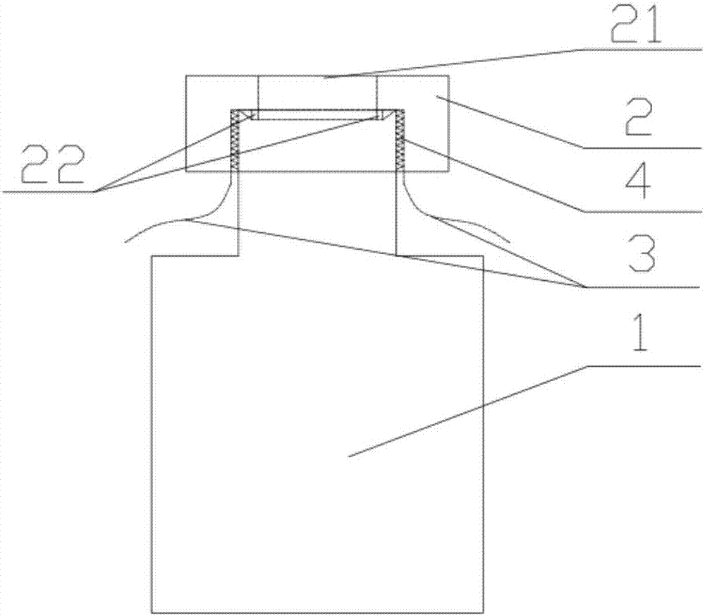 Liquid sample feeding bottle and liquid sample feeding method used for microcell X-ray fluorescence spectrometer