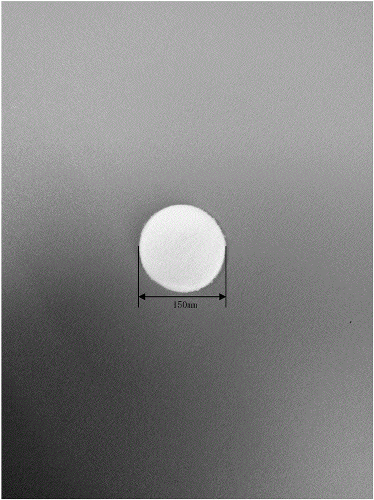 Tissue engineering cartilage stent and method for preparing same