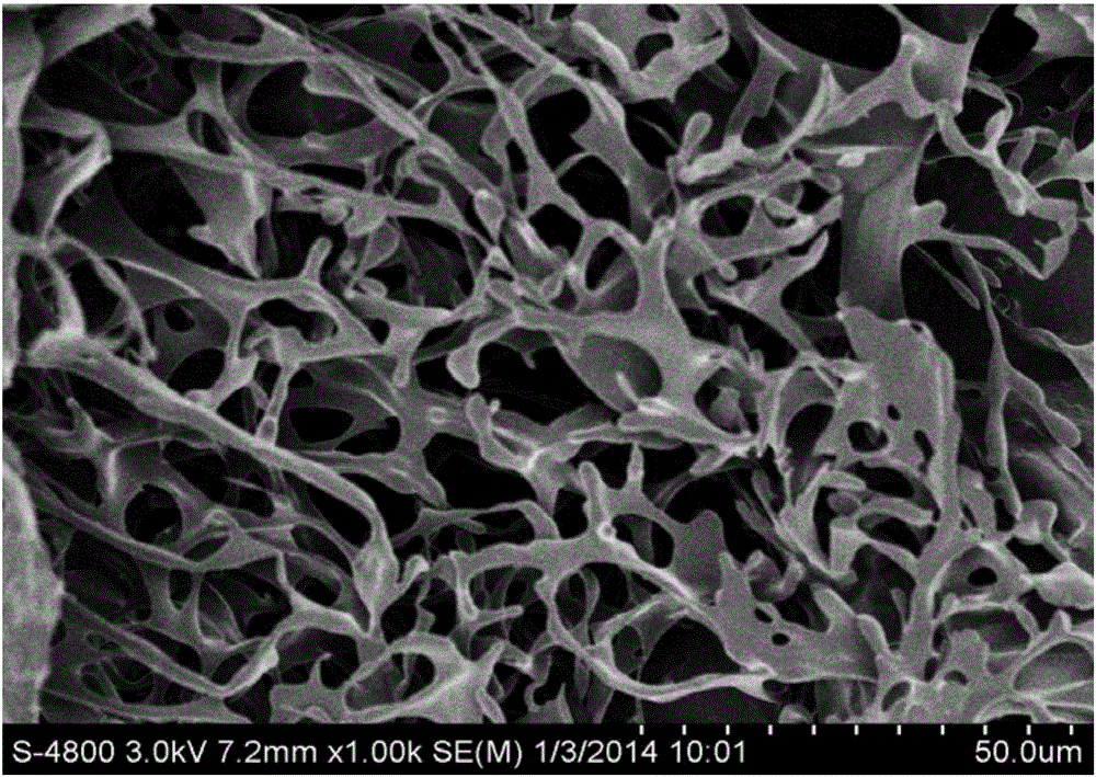 Tissue engineering cartilage stent and method for preparing same