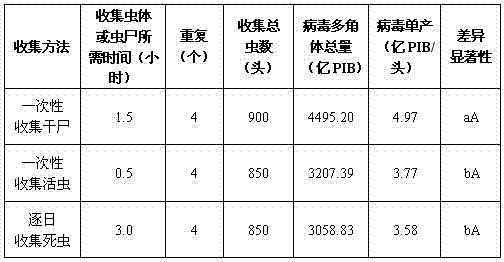 A kind of production method of tea caterpillar nuclear polyhedrosis virus